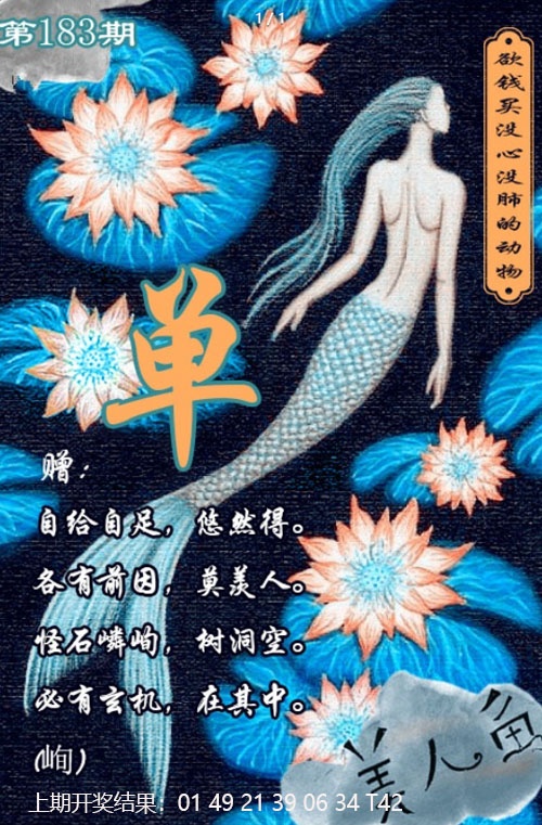 美人鱼单双中特图